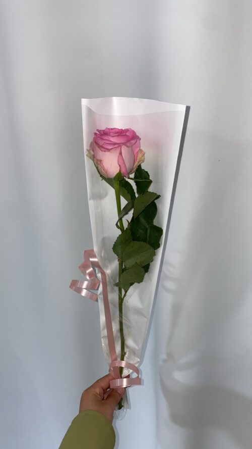 Rose unique