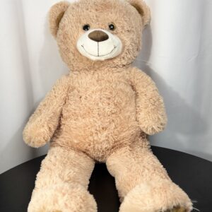 Ours teddy