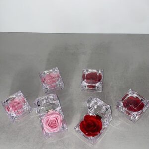 Petite Éternelle - Écrin