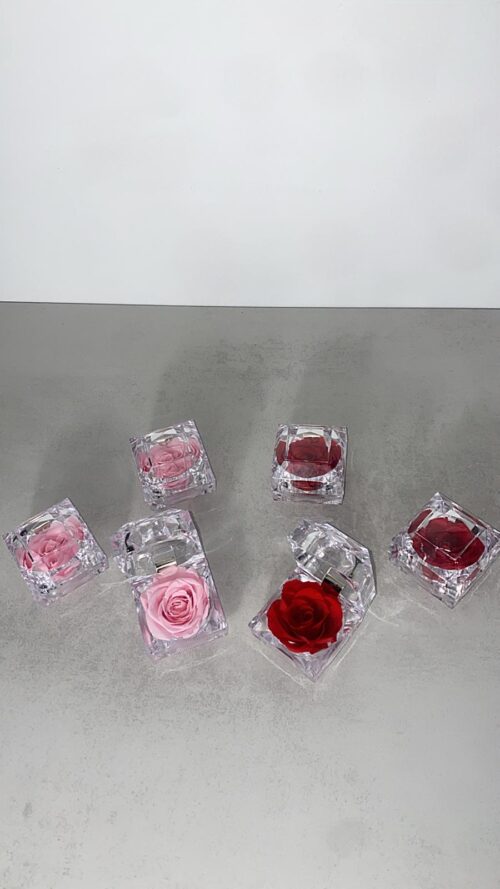 87ac021a-f7c0-4eae-8a91-503c1d8d2ecd